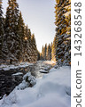 Winter view of the Vydra River flowing through the Modrava valley in Sumava National Park, Czech Republic, with warm sunrise light illuminating the snowy forest and landscape. 143268548