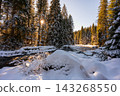 Winter view of the Vydra River flowing through the Modrava valley in Sumava National Park, Czech Republic, with warm sunrise light illuminating the snowy forest and landscape. 143268550