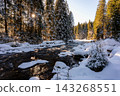 Winter view of the Vydra River flowing through the Modrava valley in Sumava National Park, Czech Republic, with warm sunrise light illuminating the snowy forest and landscape. 143268551