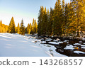 Winter view of the Vydra River flowing through the Modrava valley in Sumava National Park, Czech Republic, with warm sunrise light illuminating the snowy forest and landscape. 143268557