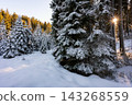 Snow-covered trees in the Modrava valley of Sumava National Park, Czech Republic, illuminated by warm sunset light, creating a magical winter landscape. 143268559
