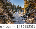 Snow-covered trees in the Modrava valley of Sumava National Park, Czech Republic, illuminated by warm sunset light, creating a magical winter landscape. 143268561