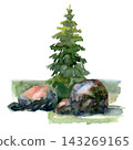 Watercolor spruce tree with large mossy granite boulders on green grass, hand painted Nordic nature illustration 143269165