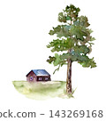 Watercolor tall pine tree next to small red wooden cottage on green meadow, hand painted Nordic rural landscape 143269168