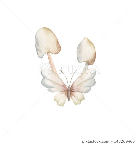 Cute White Toadstool Butterfly. Autumn forest poisonous mushroom arrangement Watercolor hand drawn floral illustration isolated on white background for cozy fall design home textile porcelain crockery Cute White Toadstool Butterfly. Autumn forest poisonous mushroom arrangement Watercolor hand drawn floral illustration isolated on white background for cozy fall design home textile porcelain crockery 143269466