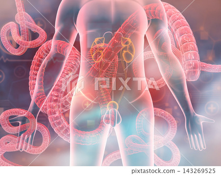 Ebola virus attacking human body Ebola virus attacking human body 143269525