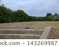 At the park 143269987