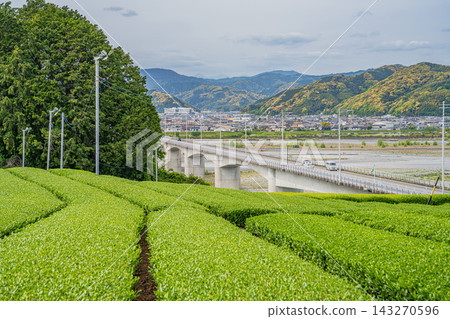 Streetscape and tea plantations in Shimada City (Shizuoka Prefecture) Streetscape and tea plantations in Shimada City (Shizuoka Prefecture) 143270596