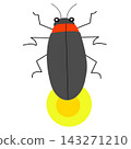 Illustration of glowing fireflies 143271210