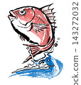 Jumping Sea Bream - Color Jumping Sea Bream - Color 143272032