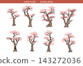 Ukiyo-e style cherry blossom tree set Ukiyo-e style cherry blossom tree set 143272036