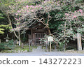 A view of the grounds of Sennyu-ji Temple in Higashiyama Ward, Kyoto City. 143272223