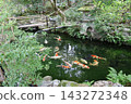 A view of the grounds of Sennyu-ji Temple in Higashiyama Ward, Kyoto City. 143272348
