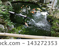 A view of the grounds of Sennyu-ji Temple in Higashiyama Ward, Kyoto City. 143272353