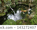 A view of the grounds of Sennyu-ji Temple in Higashiyama Ward, Kyoto City. 143272407