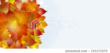 beautiful autumn nature yellow leaves banner beautiful autumn nature yellow leaves banner 143272879