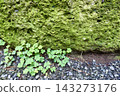 Old Oya stone blocks covered in moss and wood sorrel 143273176