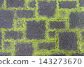 Moss growing in the grooves of interlocking blocks 143273670