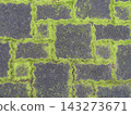 Moss growing in the grooves of interlocking blocks 143273671