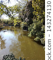 Beautiful trees reflected on the water's surface 143274130