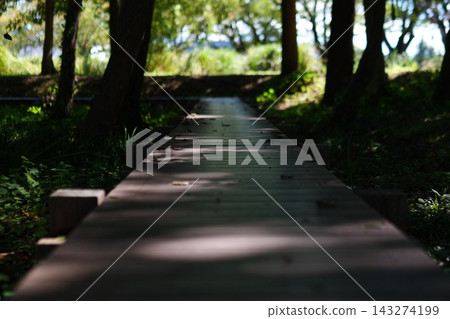 A wooden boardwalk where fallen leaves are scattered. 143274199