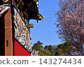 The Inuyama Festival in Aichi Prefecture, Japan: A magnificent procession of elaborate floats called "Kurumayama" and the keep of Inuyama Castle, under a sky full of blooming cherry blossoms. 143274434