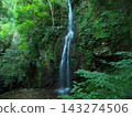 Summer in Yurihama Town, Tottori Prefecture: The famous waterfall "Fudo Falls" 143274506