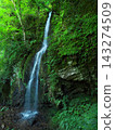 Summer in Yurihama Town, Tottori Prefecture: The famous waterfall "Fudo Falls" 143274509
