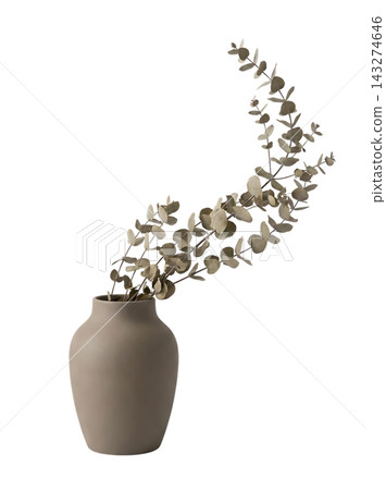 Minimalist Tall Vase with Eucalyptus and Pampas Grass Isolated Minimalist Tall Vase with Eucalyptus and Pampas Grass Isolated 143274646