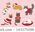 Set of vector illustrations with cute Christmas cats - funny holiday kittens in winter festive clothes 143275096