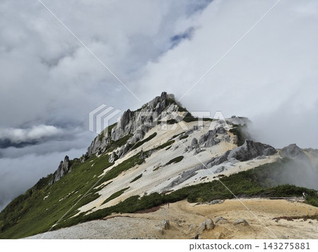 Mt. Mt. 143275881