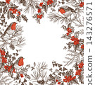 Red and black Christmas frame with robins, holly, ivy, and pine. Engraved style card with copy space. Transparent background. 143276571