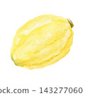 Hand drawn Etrog watercolor illustration isolated on white. Traditional Sukkot ripe citrus fruit in juicy yellow color. Simple citron sketch for Jewish holiday Four Species symbols. Lemon drawing 143277060