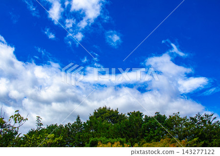 [Kyoto Scenery] Summer clouds at Zuishin-in Temple that change shape in various ways 143277122