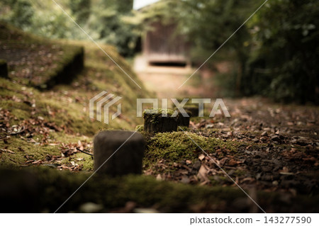 The morning sun shines through the moss-covered forest steps and wooden stake path. The morning sun shines through the moss-covered forest steps and wooden stake path. 143277590