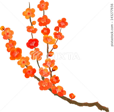 Watercolor illustration of red plum branches, brown tree, branch shape, Japanese style elements. 143277656
