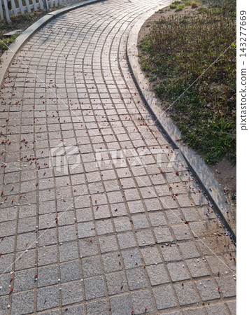 It is a walking path with paved blocks. It is a walking path with paved blocks. 143277669