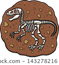 Tyrannosaurus Rex Dinosaur Skeleton 143278216