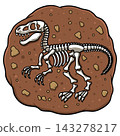 Tyrannosaurus Rex Dinosaur Skeleton Vector Illustration 143278217