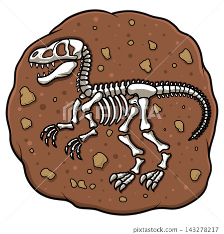 Tyrannosaurus Rex Dinosaur Skeleton Vector Illustration Tyrannosaurus Rex Dinosaur Skeleton Vector Illustration 143278217