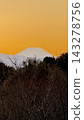 冬日里，白雪皚皚的富士山在金色的夕陽映襯下顯得雄偉壯麗，周圍環繞著光禿禿的冬樹。 143278756