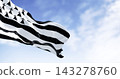 Brittany flag waving with french national flag on a clear day 143278760