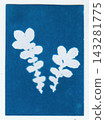 Winter field grass created in cyanotype technique Stock Photo. Organic Bloom Abstract Cyanotype 143281775