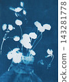 background, flower, blossom 143281778