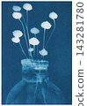Abstract botanical form created using the cyanotype photographic process, featuring organic textures, irregular patterns and contrasting blue and white tones. 143281780