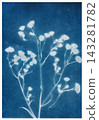 sun-printing or cyanotype process. Some leafs, petals, flowers, fern, lying on a watercolour paper covered with a special photosensitive liquid. Dark blue Prussian blue color print. 143281782