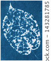 Abstract Cyanotype Botanical Texture in Blue and White 143281785