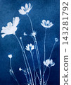 Sun printing, or cyanotype. Plants are arranged on watercolor paper coated with a special light-sensitive solution, resulting in a print with a rich 143281792