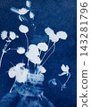 Sun printing, or cyanotype. Plants are arranged on watercolor paper coated with a special light-sensitive solution, resulting in a print with a rich 143281796