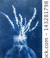 Sun printing, or cyanotype. Plants are arranged on watercolor paper coated with a special light-sensitive solution, resulting in a print with a rich 143281798